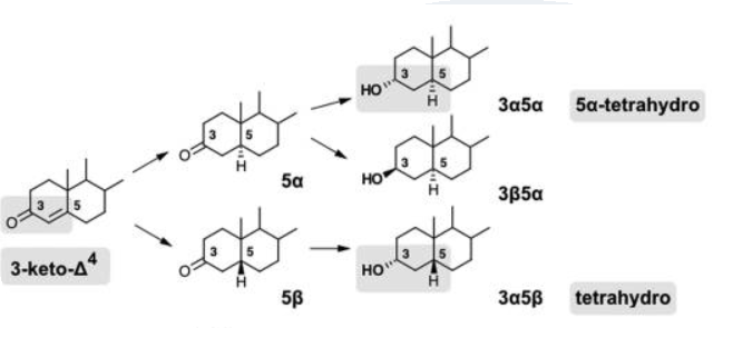 Example synthesis depicting steroid synthetic steps